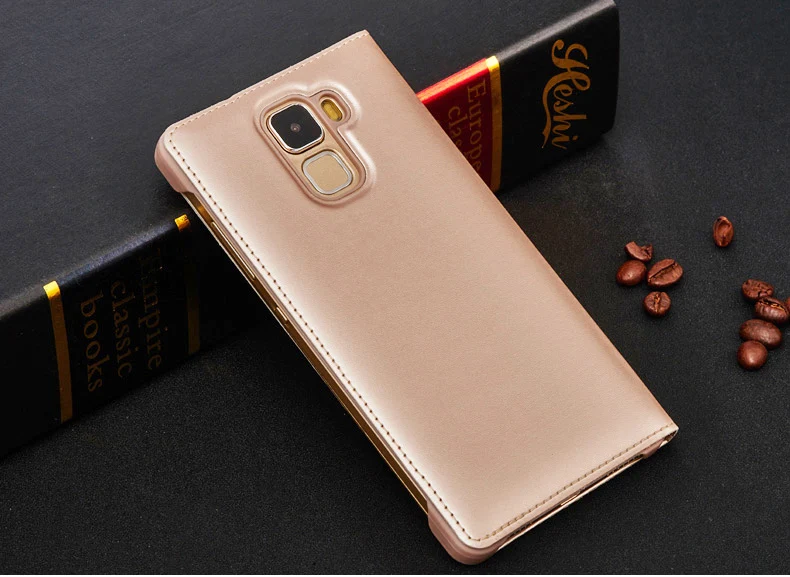 DW honor7 Go2