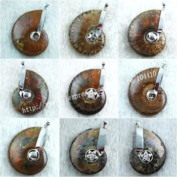 

10 Pcs/Lot Mixed Metal Wrapped Natural Ammonite Fossil stone Pendant Bead Suppliers Wholesale