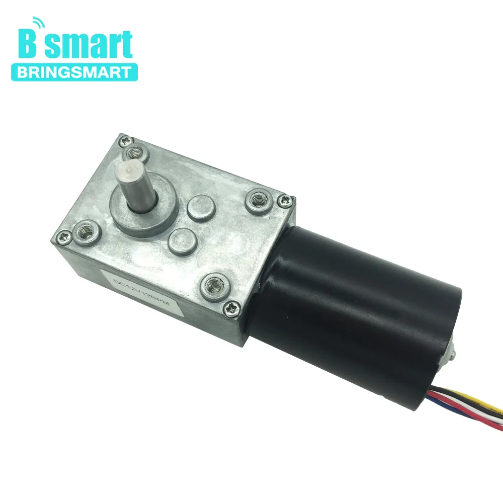 

Bringsmart BLDC Worm Gear Motor 24V High Torque Self-lock Mini Electric Machine