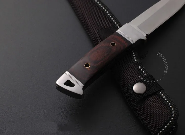 HTB1rZlgMXXXXXbOXFXXq6xXFXXXQ