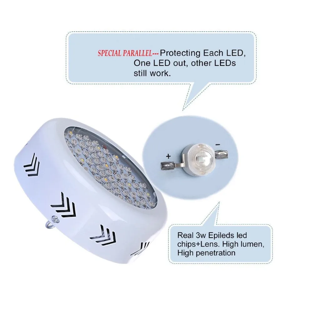 plant grow light