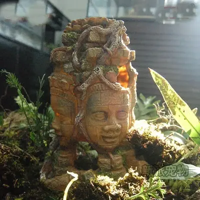 

Fish tank, box, stone Buddha, shelter from decoration