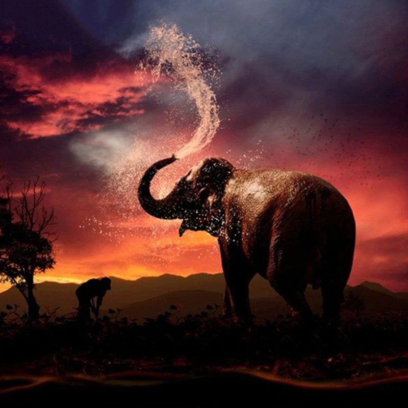 Full-Square-drill-5D-DIY-Diamond-Embroidery-animal-sunset-Elephant-scenery-Diamond-Painting-Cross-Stitch-Rhinestone