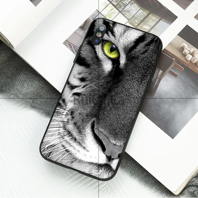 animal tiger