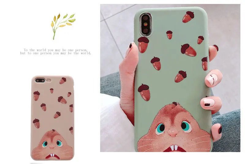 Matte Squirrel Phone Case For iPhone 6 7 8 Plus Case Cover Silicone Phone Cases For X XS 8Plus 10 XR Max 6s Cases Capinha Shell  (1)