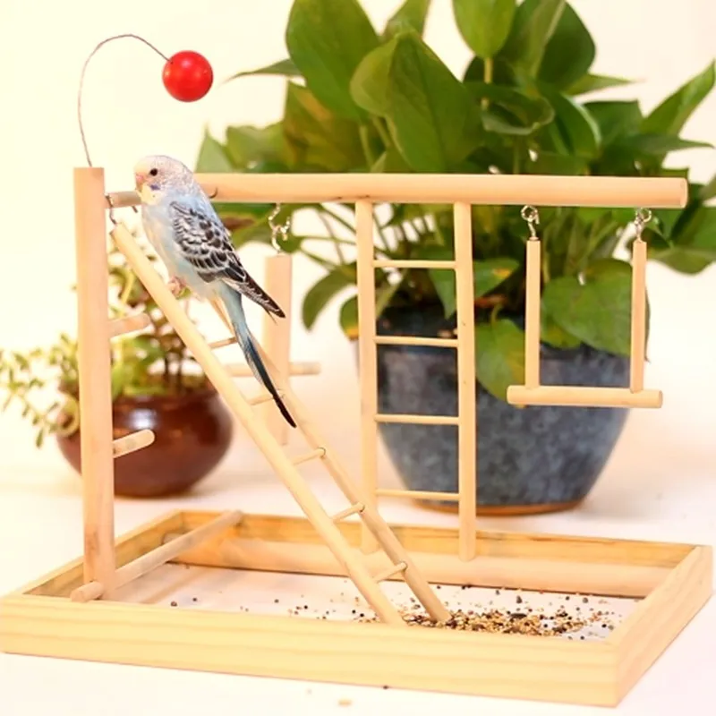 Тренировка развлечение Parrot Парктроник рамка птица тарелка скалолазание