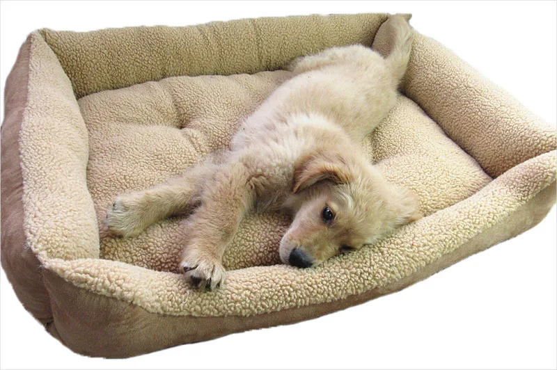 Dog bed