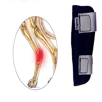 

Dog Brace Front Rear Short Leg Wrap Sleeve Protects Wounds Pet Brace Heals and Prevent Injuries and Sprain Helps