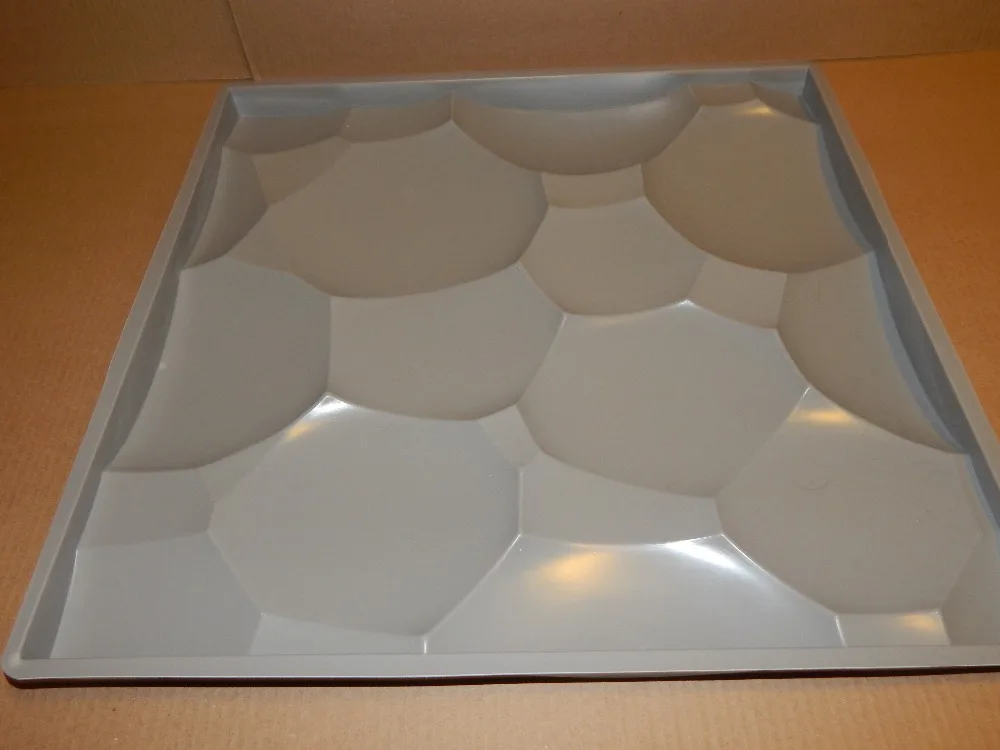 DSCN5216