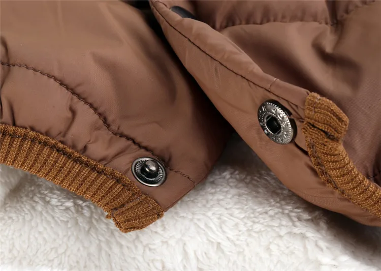 jackets for small dog