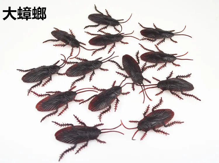 4422087492_805265677