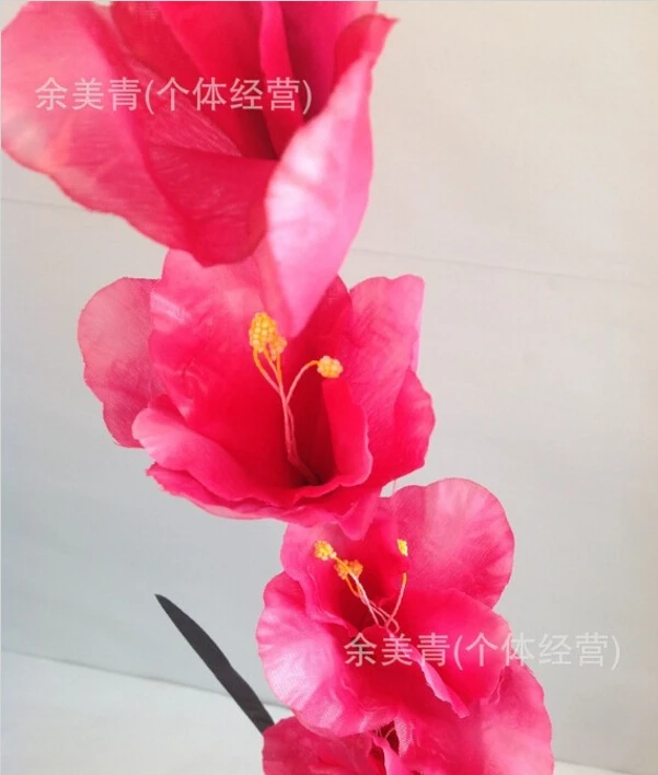A003.jpg