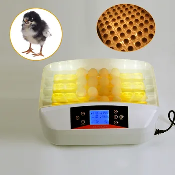 

ABS Design 32Eggs Incubator EU/US Plug for Hatching Chickens Ducks Geese Poultry Quails Parrots Pigeons Hatching machine supply