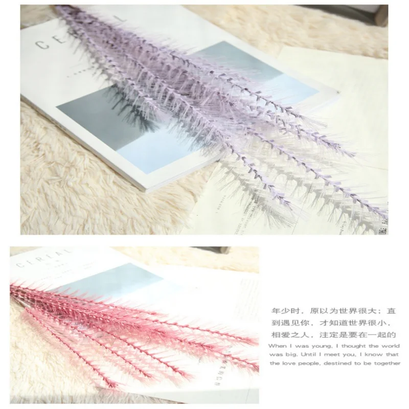 WD0597A (6)