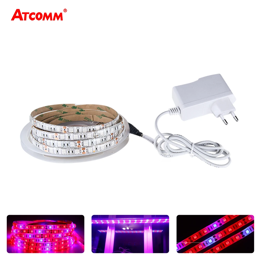 Full Spectrum 300 LEDs Phyto Lamps Grow Lights 5 Meters 12V Waterproof