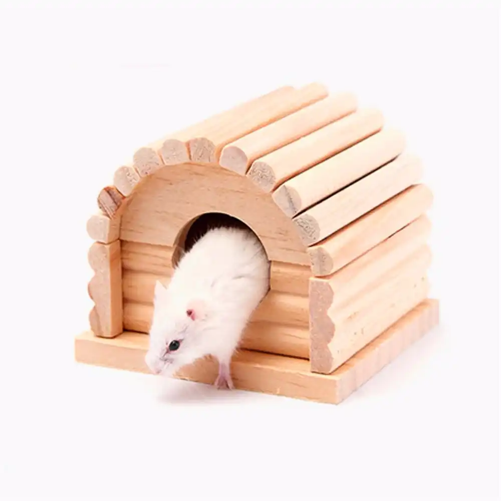 cute hamster houses