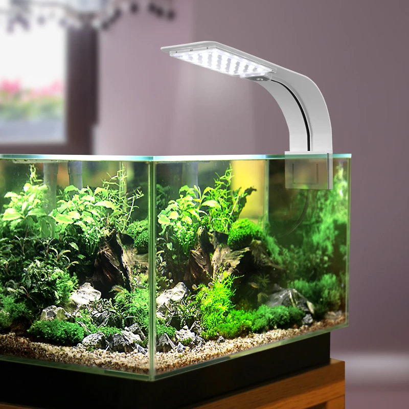 Acheter Mini lumière LED pour Aquarium, Ultra-mince à clipser, éclairage à  haute luminosité pour Aquarium