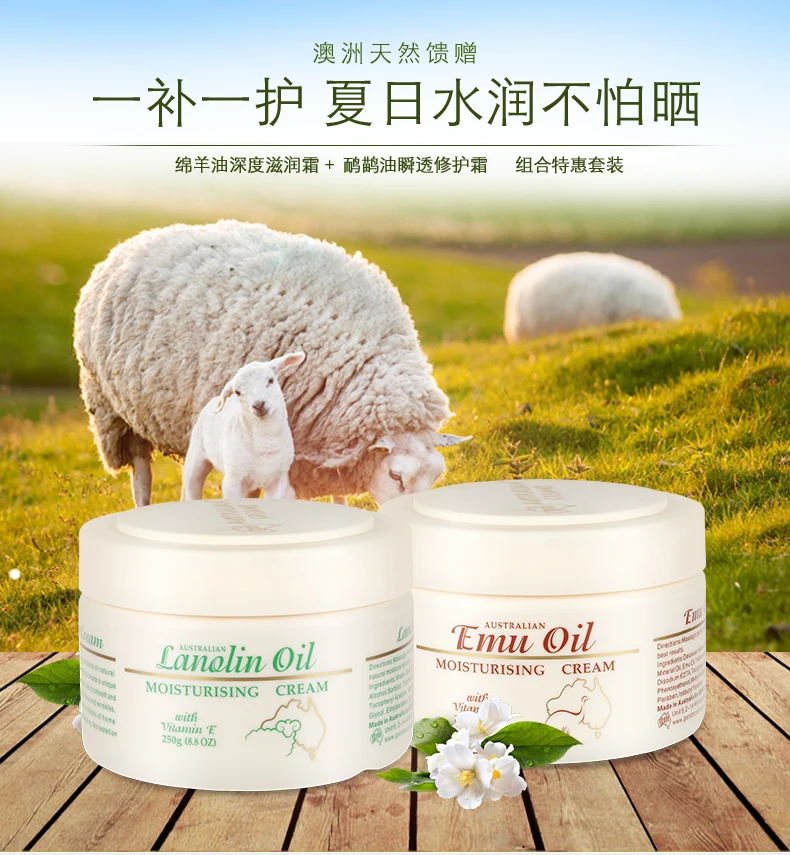 TB2hTY9XUTz11Bjy0FlXXX5BpXa_!!2587884953