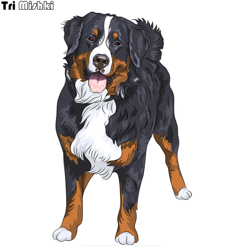 

Tri Mishki WCS114 12x20cm bernese mountain dog standing and smiling car sticker funny colorful auto automobile decals