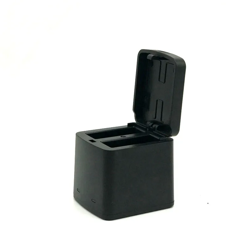 battery charger (2)