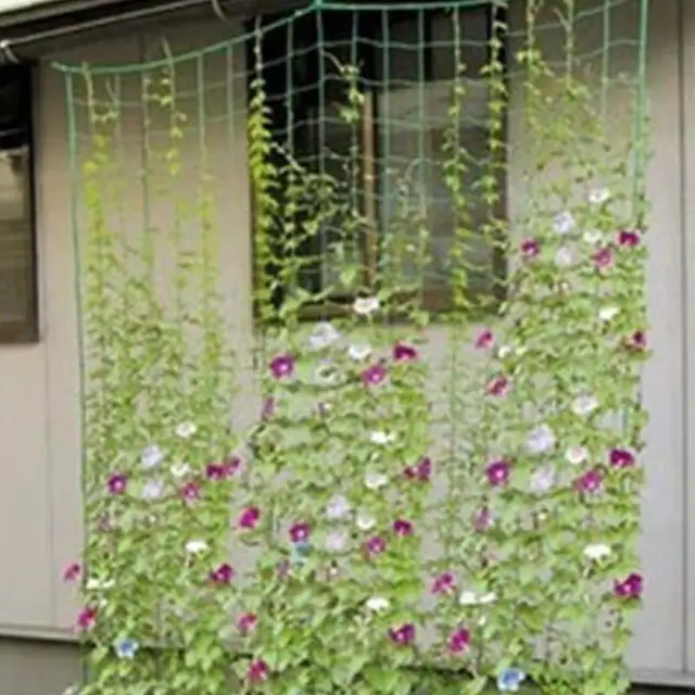 Vegetable Nylon Fence Net Plant Flower Morning Glory Melon Trellis