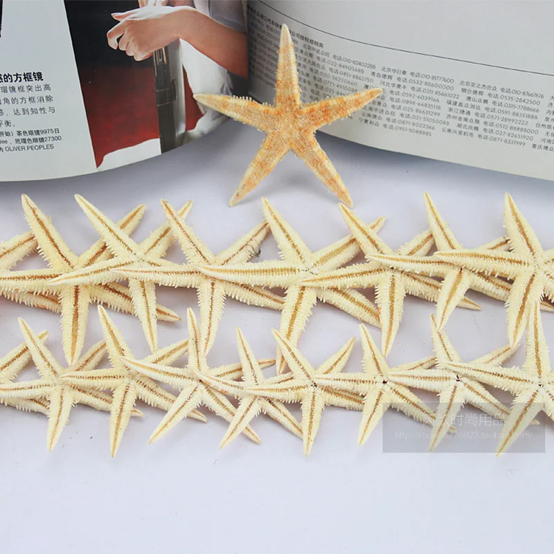 

20Pc 6-8cm BIG Natural Starfish Wishing Bottle Sea Star Home Decoration Wall Stickers Adornment Organic Material Free Shipping