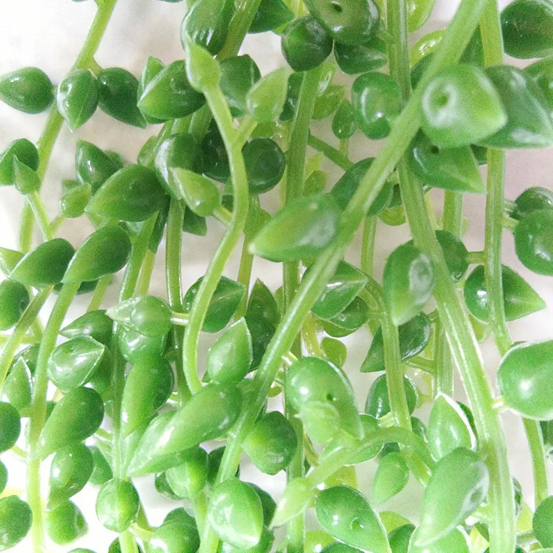 Искусственные суккуленты жемчужины мясистые Зеленые Лозы подвесной ротанговый