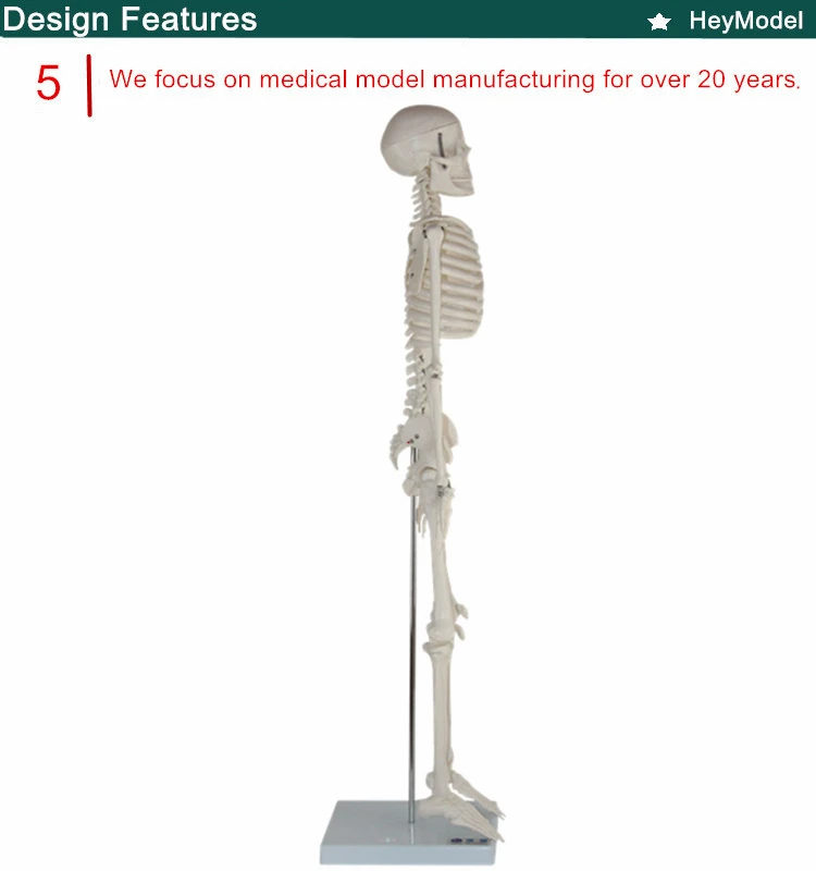 5._