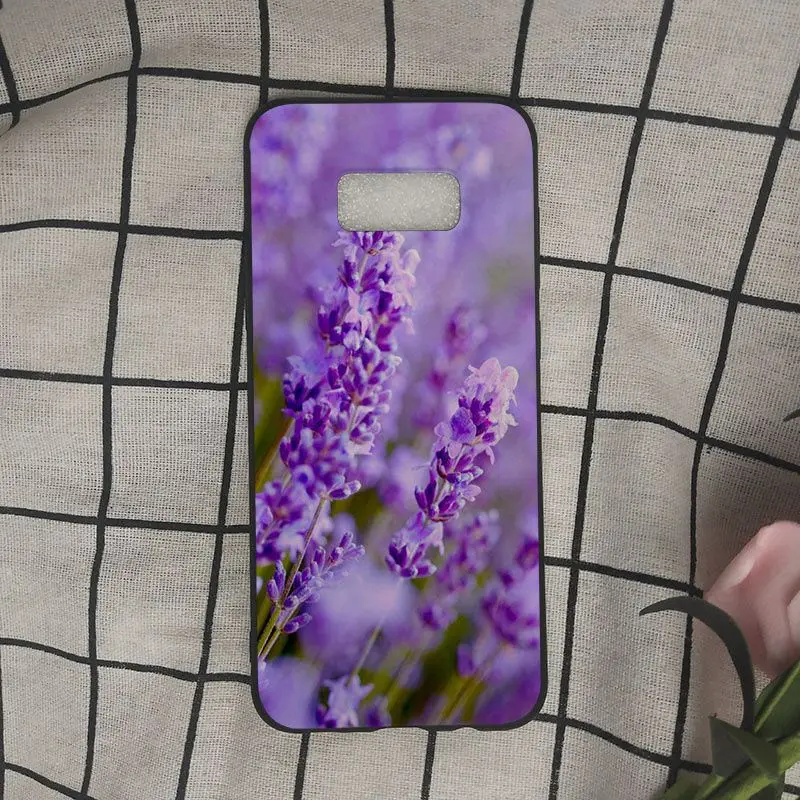 Simple lavender Purple flowers