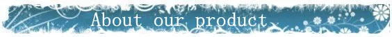 aeProduct.getSubject()