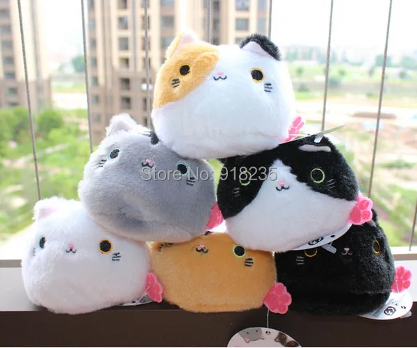 big face cat-285g-34-H