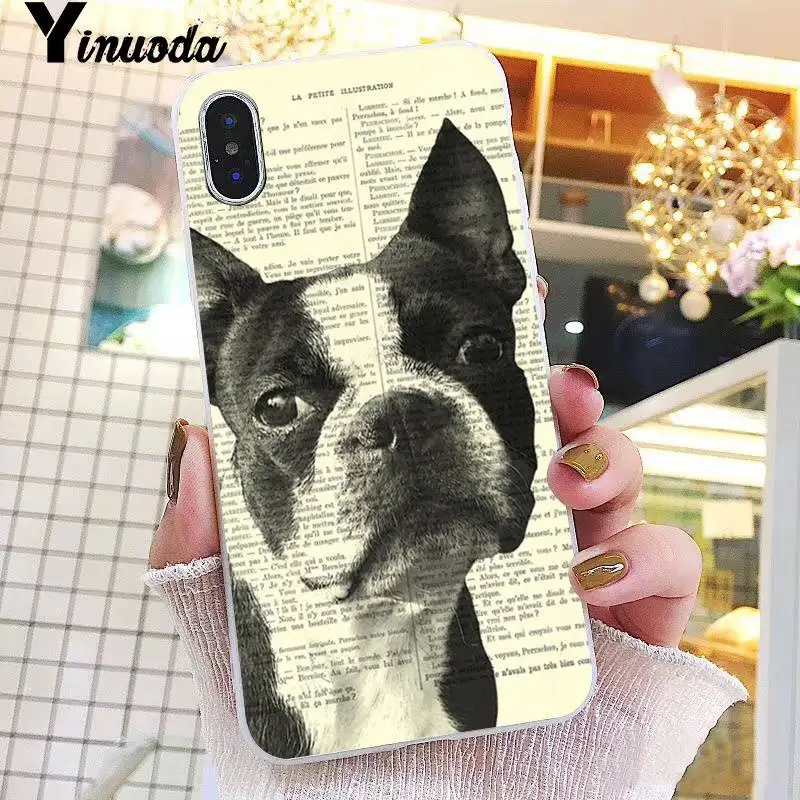 Bulldog Pit Bull Lovely Pet Dog Pitbull Cartoon Oil Art