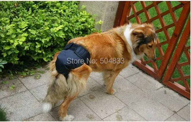 Большой подгузник для собак брюки большие собаки физические шорты для золотого ретривера/шотландского колли/Samo синий розовый