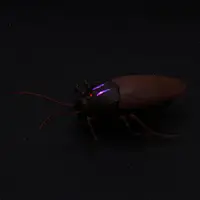 Remote Control Toys