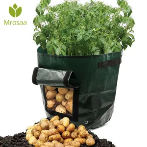 Outdoor Vertical Garden Hanging Open Style Vegetable Planting Grow Bag Potato Strawberry Planter Bags For Growing Potatoes Outdoor Vertical Garden Hanging Open Style Vegetable Planting Grow Bag Potato Strawberry Planter Bags For Growing Potatoes