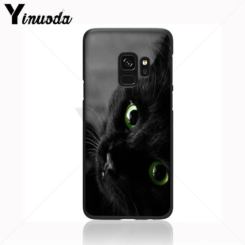 Black Cat Staring Eye