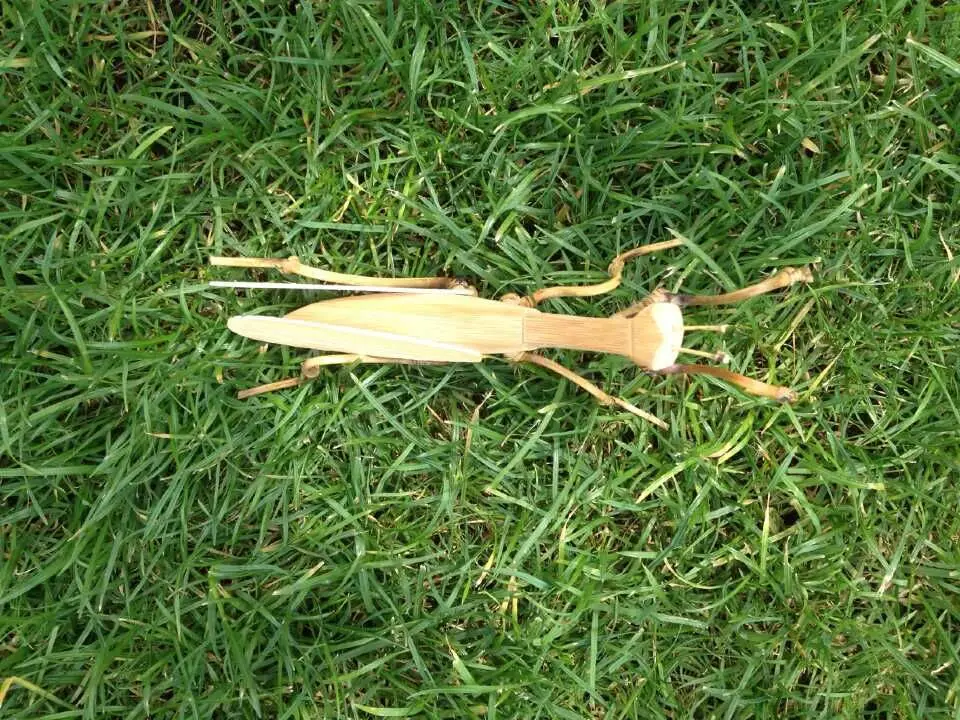 Bamboo mantis украшения игрушки бамбуковые поделки (A231)|craft|craft toyscrafts ornament |