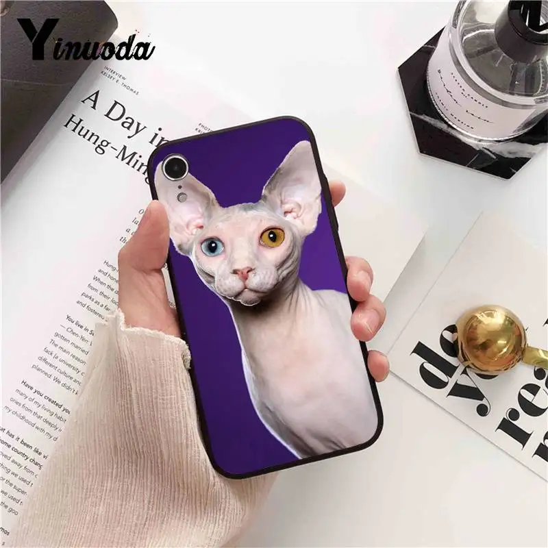 Tattoo Sphinx Cat