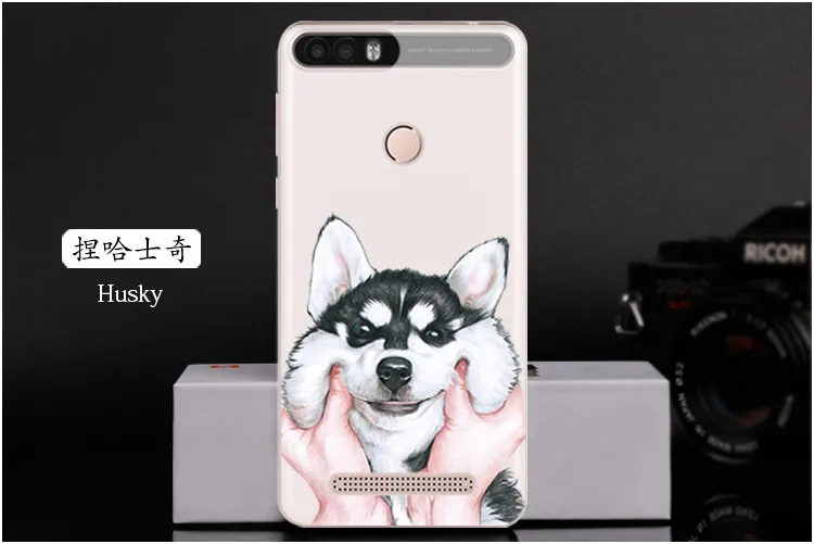  Husky