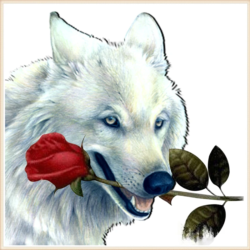 Волк с днем рождения картинки прикольные