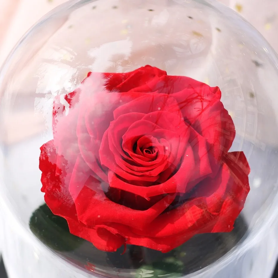 Роза в стеклянном куполе Роза вечная жизнь цветок красота и чудовище Роза для дома Свадебная вечеринка украшение подарок на день Святого Валентина
