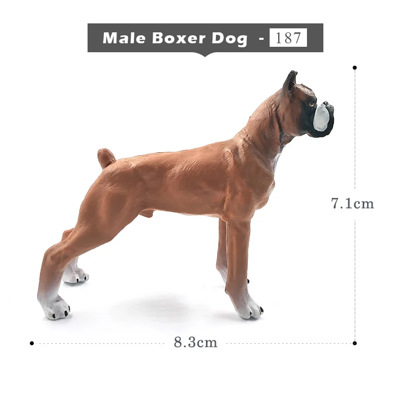 Далматинский бульдог бультерьер Лабрадор сибирская Собака Хаски Фигурки Животных Фигурки домашний Декор подарок для детей Детские игрушки - Цвет: Male Boxer Dog