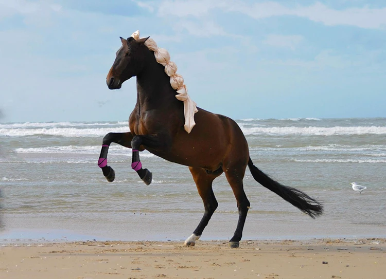 Сапоги для верховой езды в стиле «Hisea»; paardensport; каваловый конный спорт; herraduras para caballo; защита для верховой езды; высокая эластичность