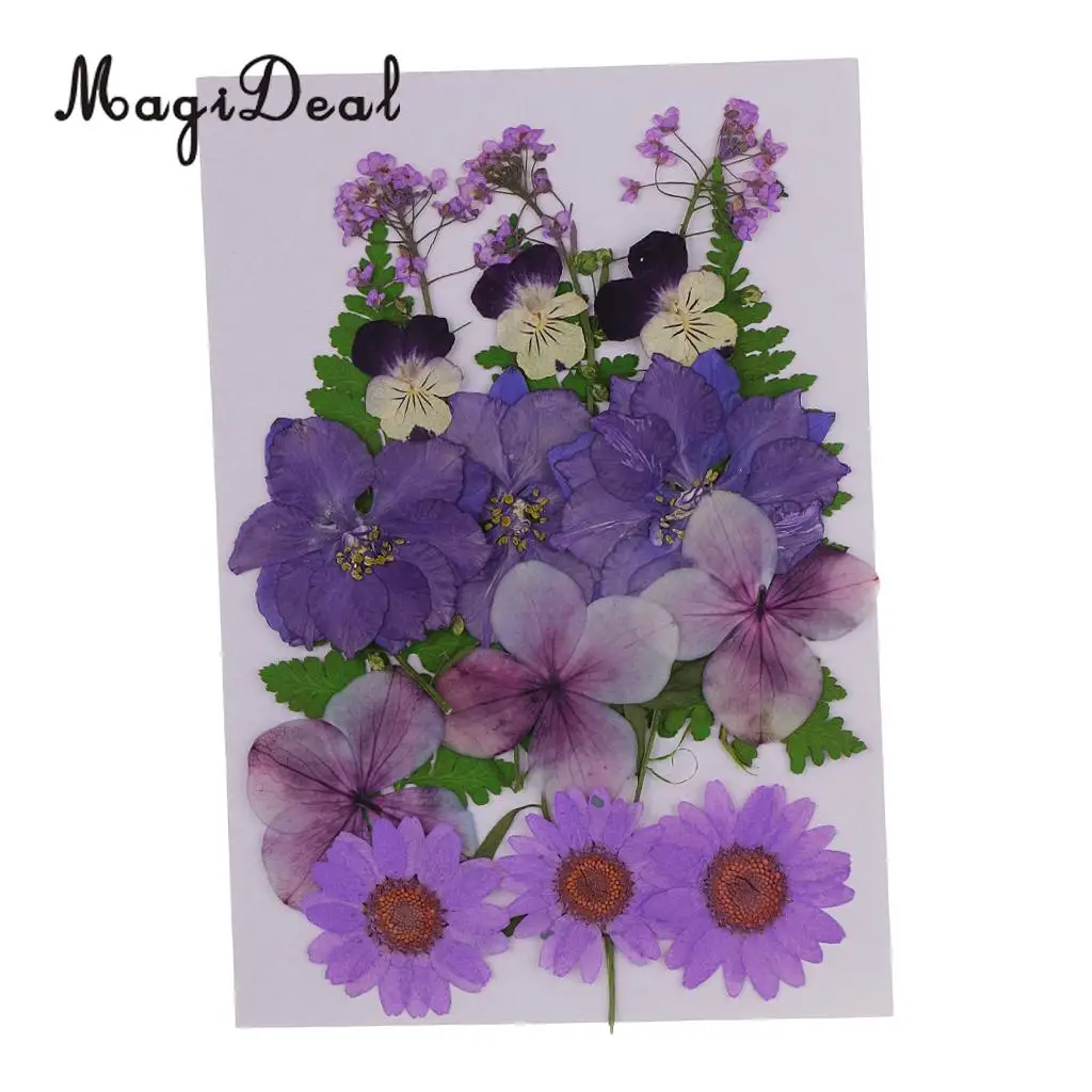 6 Kinds of Pressed Dried Flower Real Dried Flower Plant Specimen Filler for Scrapbooking Card, Art Crafts, Epoxy Resin Jewelry
