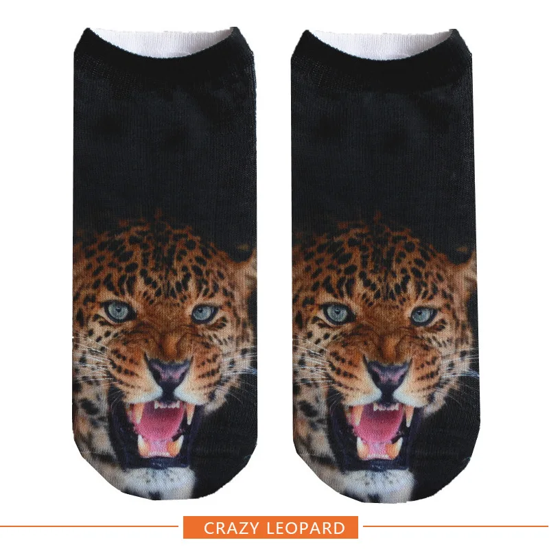 HTB1lnJJOgHqK1RjSZFPq6AwapXac