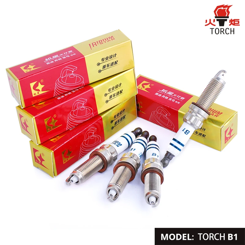 TORCH-B1