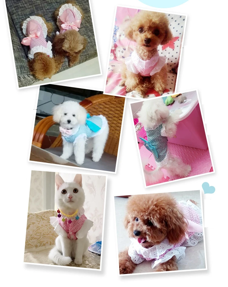 9244936030_1368698927