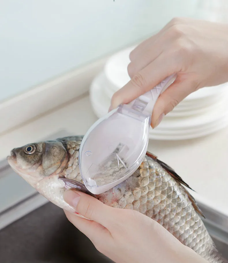 JY195Fish scraper_01.jpg