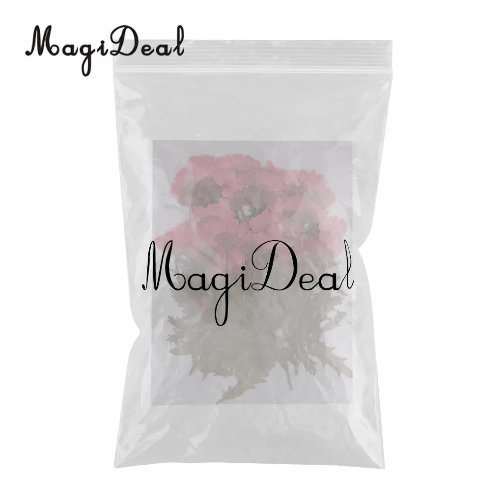 MagiDeal 50pcs Beautiful Pressed Rose Flower Dried Flowers for Art Craft Scrapbooking Card Making House Decoration