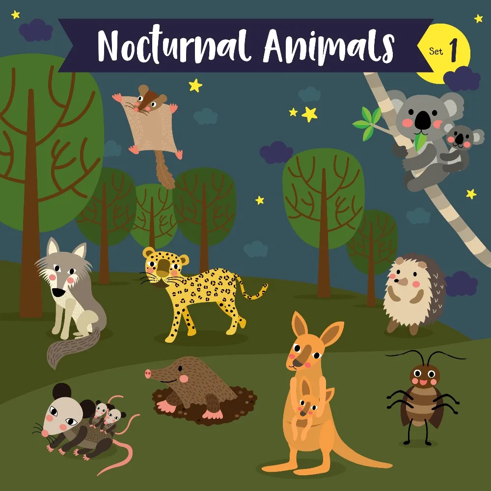 Cute Cartoon Nocturnal Anima Art Cloth Poster Children Room Wall